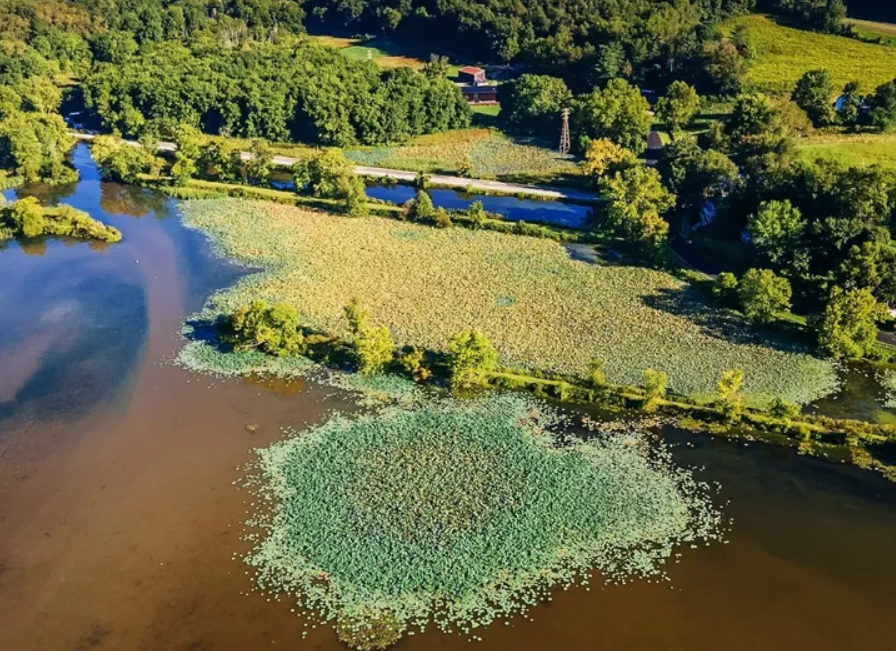 Launch of Save Lake Logan Campaign
