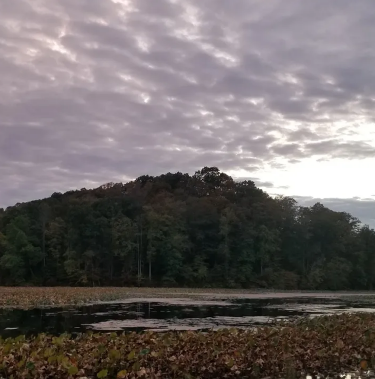 LLA Questions regarding ODNR Shoreline Management Plan Lake Logan