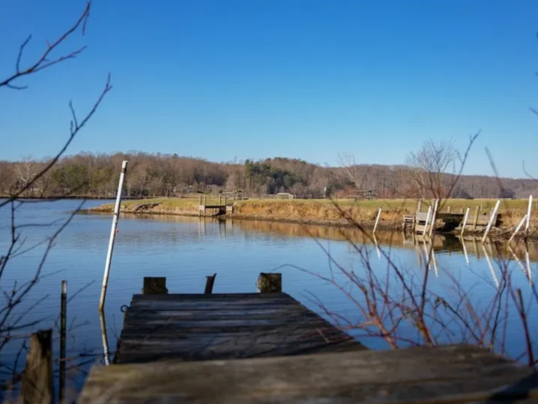 Local volunteers created a petition to save Lake Logan