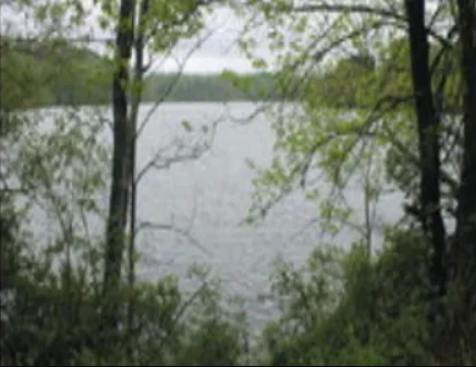 New group moving ahead with lake improvement campaign