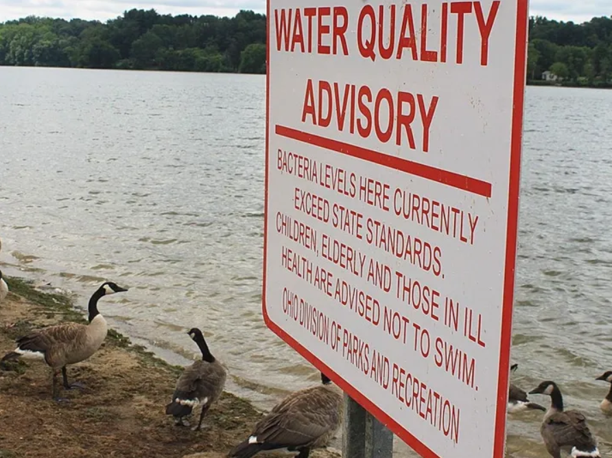 New save-the-lake group hits the ground running