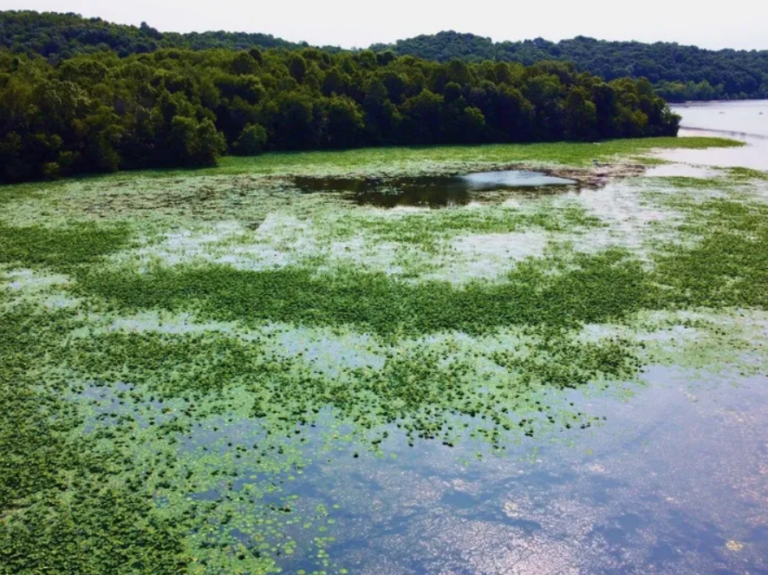 Tourism association agrees to fund development of plan for Lake Logan